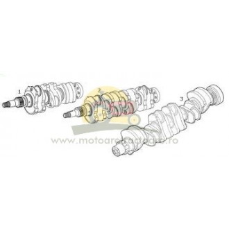 54/1-270 ARBORE COTIT