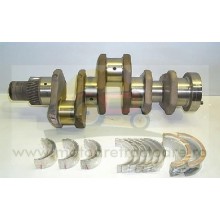 B59916 ARBORE COTIT