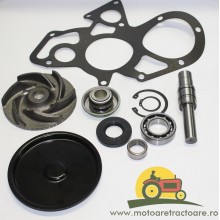 30/131-198 KIT REPARATIE POMPA APA MASSEY FERGUSON