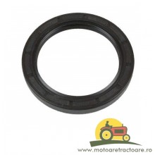 23/11-266 SIMERING ARBORE MOTOR FIAT