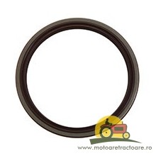 25/3138701R91 SIMERING ARBORE CASE