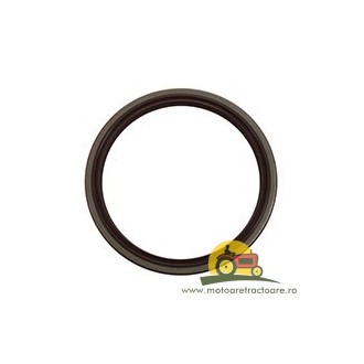 25/3138701R91 SIMERING ARBORE CASE