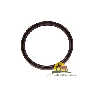 54/13-10 SIMERING ARBORE CASE