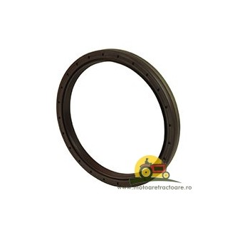 54/13-67 SIMERING ARBORE CASE