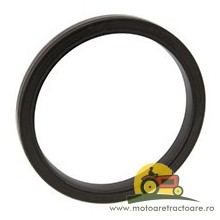 22/13-123 SIMERING ARBORE FENDT