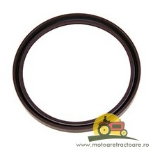 23/13-10 SIMERING ARBORE FIAT