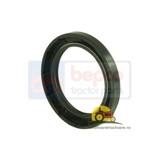 32/11-419 SIMERING ARBORE LAMBORGHINI