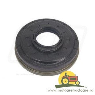 25/355-14 Simering grup conic Massey Ferguson