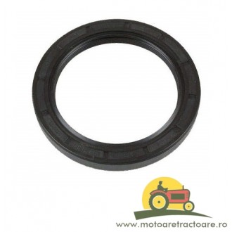 SIMERING VIBROCHEN FATA MASSEY FERGUSON 2418F436, 7701031630, 1447690M1, 218375A1, 2415361, 11-11, 11-88, 6408-42