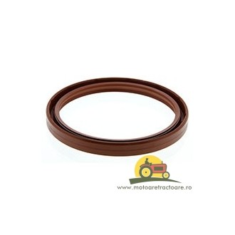 23/13-253 SIMERING ARBORE FIAT