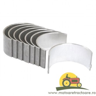 25/3-21 CUZINETI BIELA STD CASE