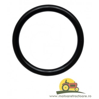 3714814M1 ORING MASSEY FERGUSON