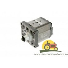 3619559M1 POMPA MASSEY FERGUSON