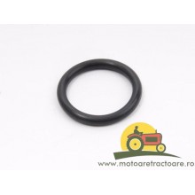 70923934 ORING MASSEY FERGUSON