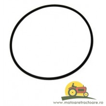 378291X1 ORING MASSEY FERGUSON