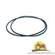 3382251M1 ORING MASSEY FERGUSON