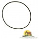 359200X1 ORING PTO MASSEY FERGUSON, 14466180 , 1884305M1 , 1884305M2 , 1884305M3