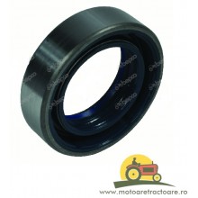 48/486-243 ORING CASE,100752A1,13872,3694547M1,3696183M,486-243