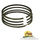 23/34-256 SET SEGMENTI PISTON FIAT,1909674 , 1909861,34-256