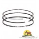 23/34-262 SET SEGMENTI PISTON FIAT,153634545 , 1902451 , 1902458 , 1902687 , 1902687N , 1930209 , 1930841 , 1931050 , 4754400 , 4813460 , FA1930209 , LA1902687,34-262