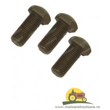 30/208-1 SURUB AMBREIAJ MASSEY FERGUSON,1853164M1 , 962840M1 , M962840,208-1