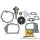 23/131-76 KIT REPARATIE POMPA APA FIAT 1940144, 131-138.